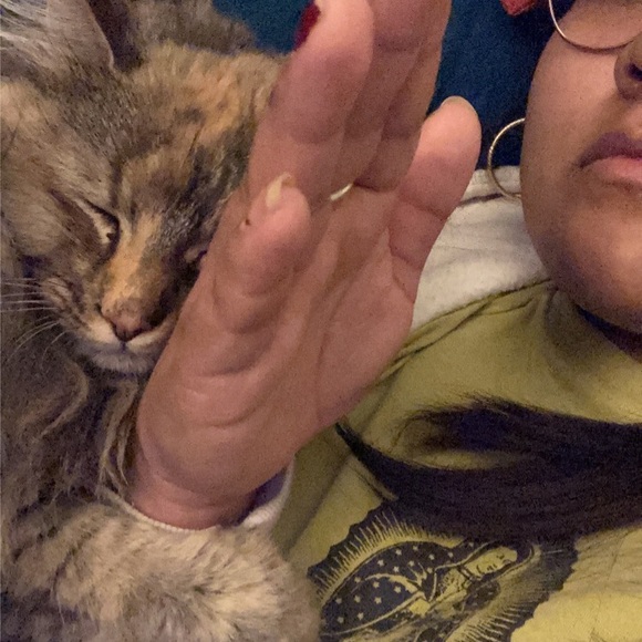 Meet your Posher, Celeste - Picture 5 of 8